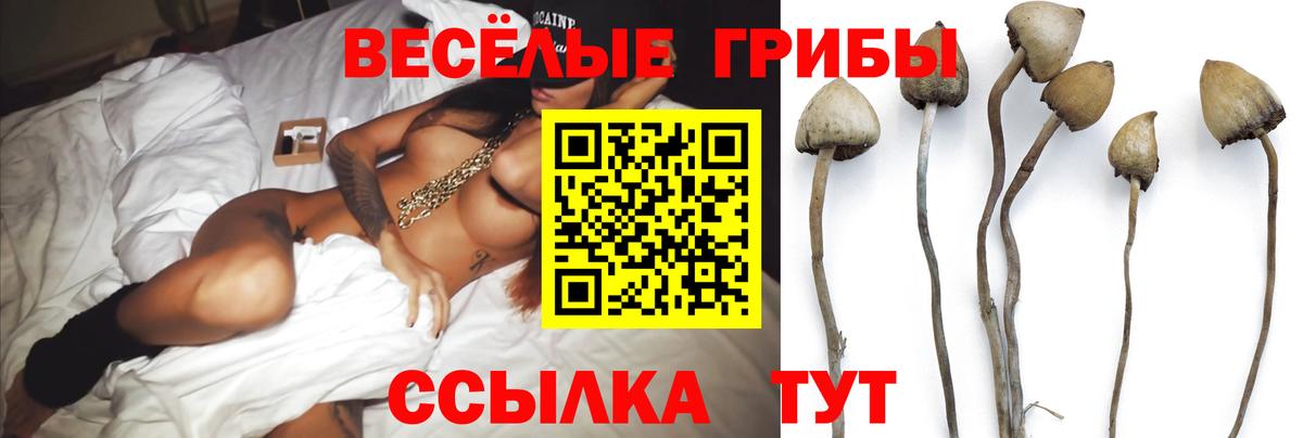 Сертолово  Галлюциногенные грибы GOLDEN TEACHER  Вход с VPN  Галлюциногенные грибы MAGIC MUSHROOMS 