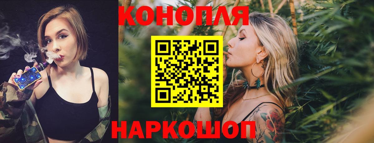 Бошки марихуана Amnesia  Вход с VPN  Сертолово  Марихуана ГИДРОПОН  Канабис индика 